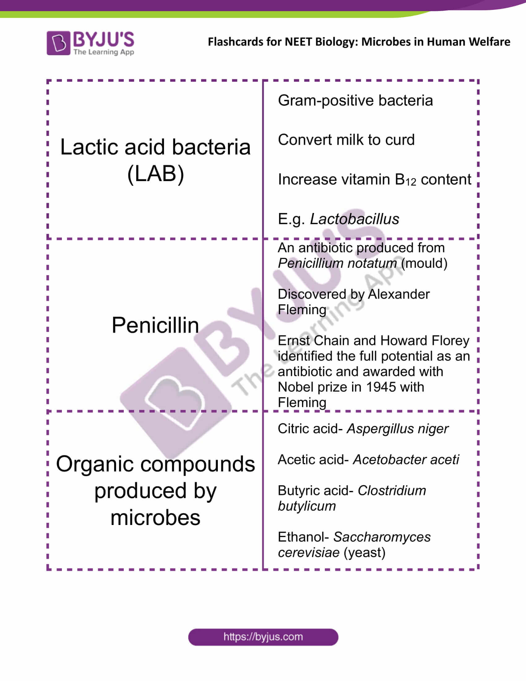 class 12 microbes in human welfare 1