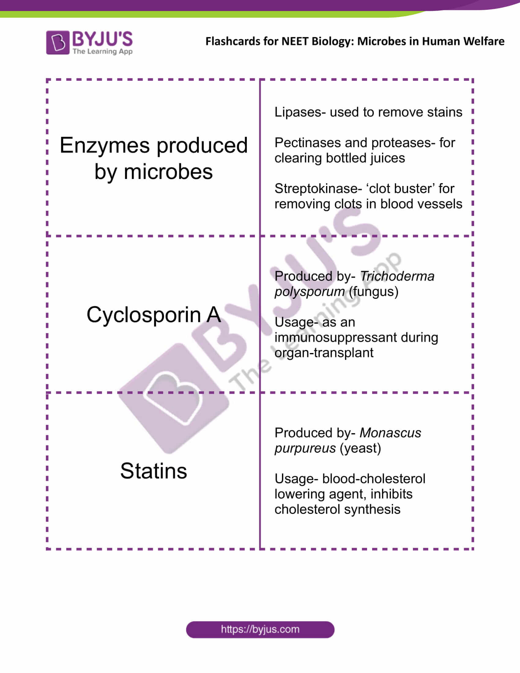 class 12 microbes in human welfare 2