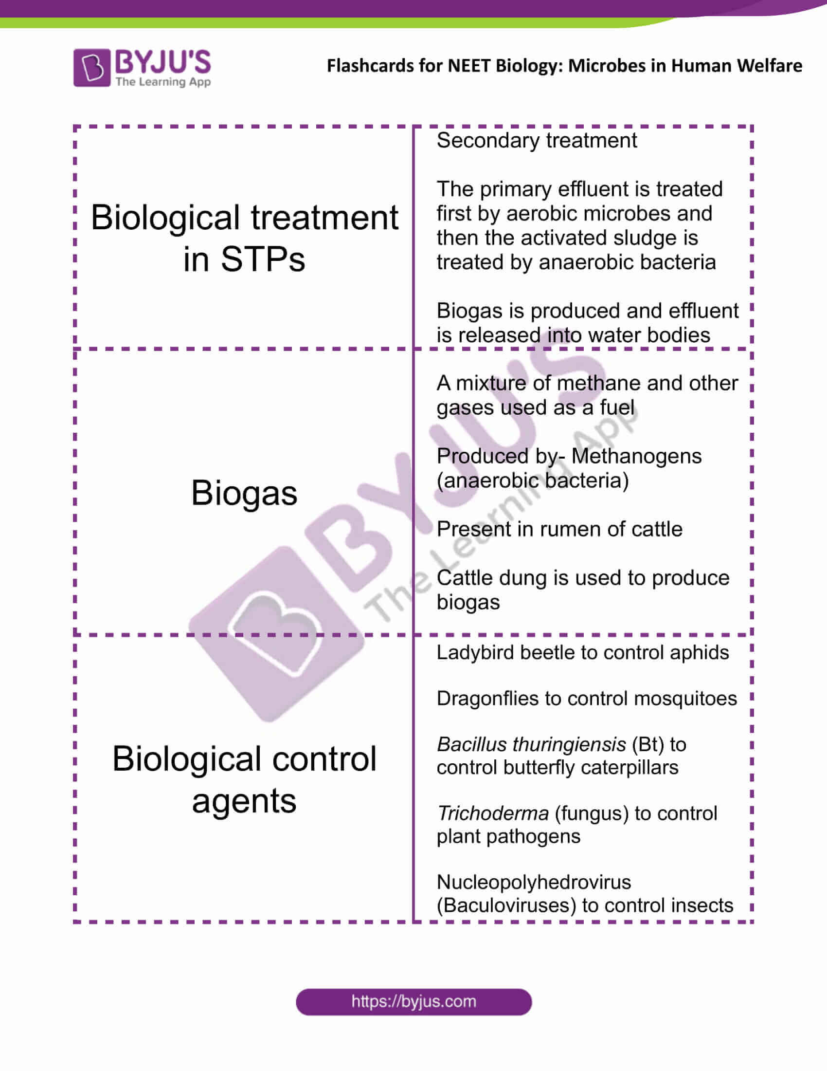 class 12 microbes in human welfare 3