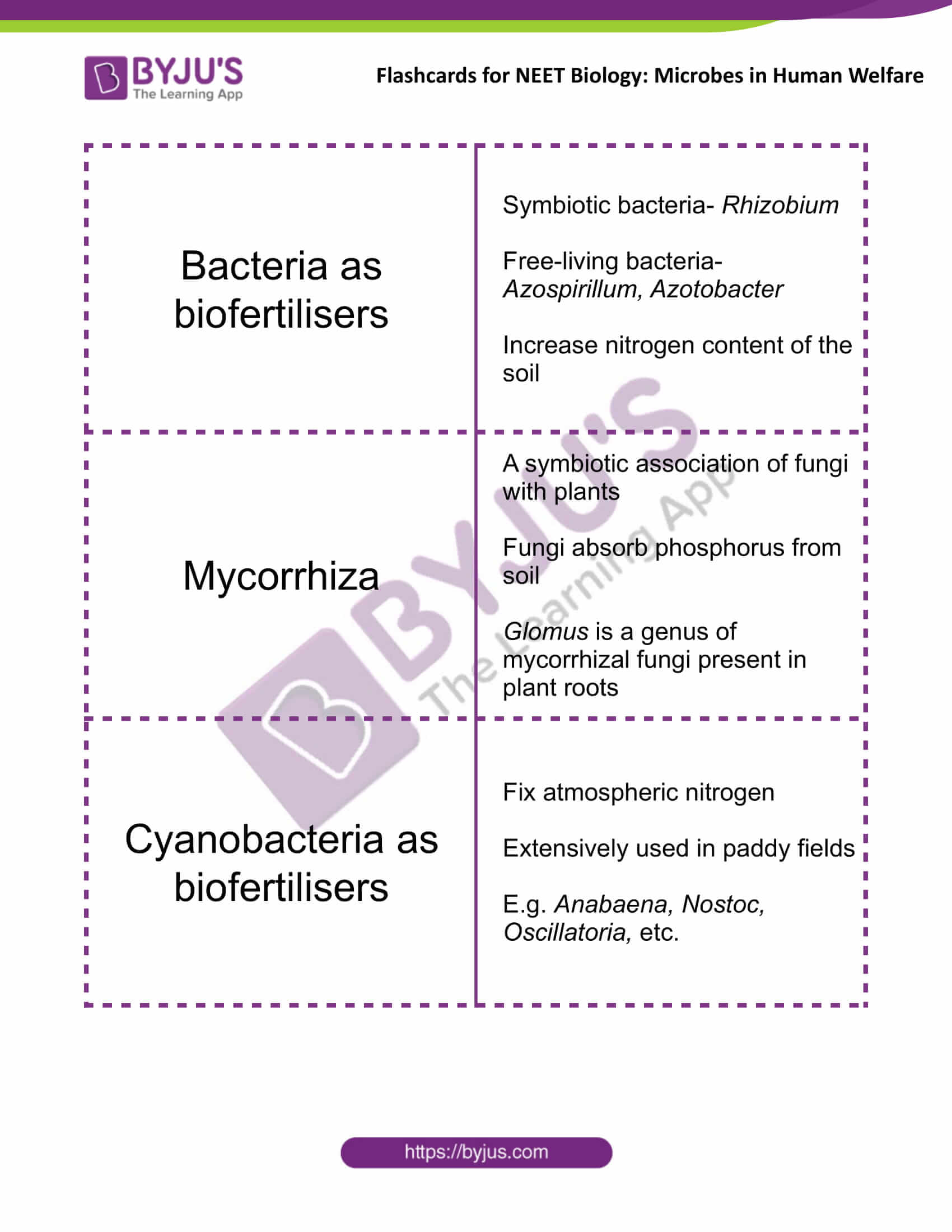 class 12 microbes in human welfare 4