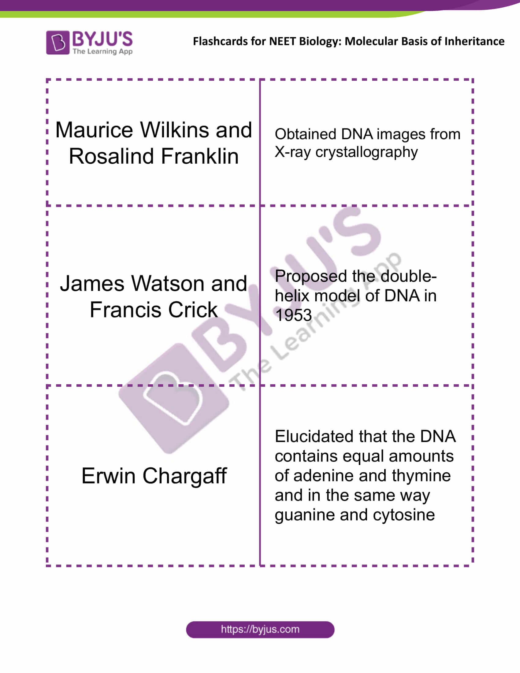 class 12 molecular basis of inheritance 03