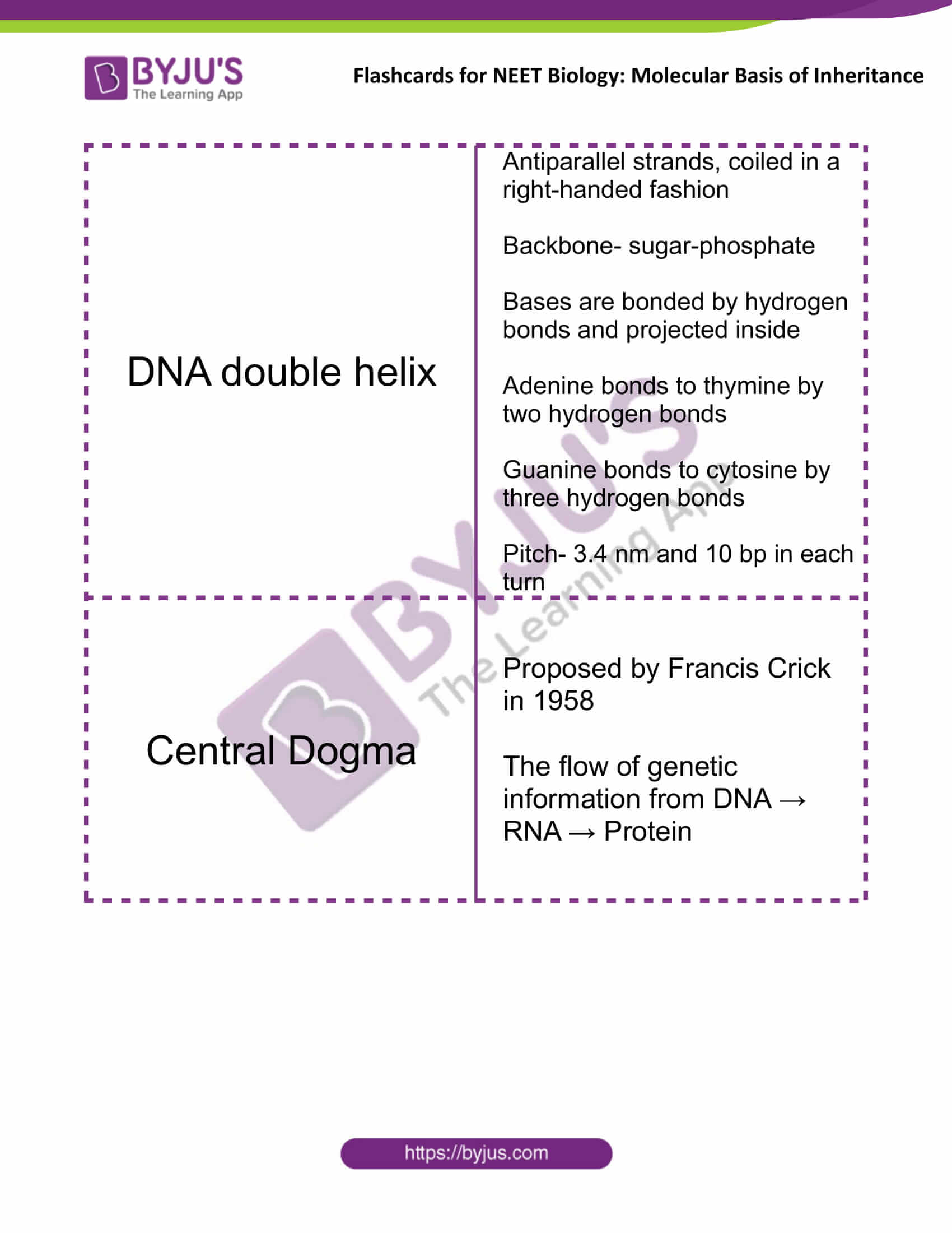 class 12 molecular basis of inheritance 04