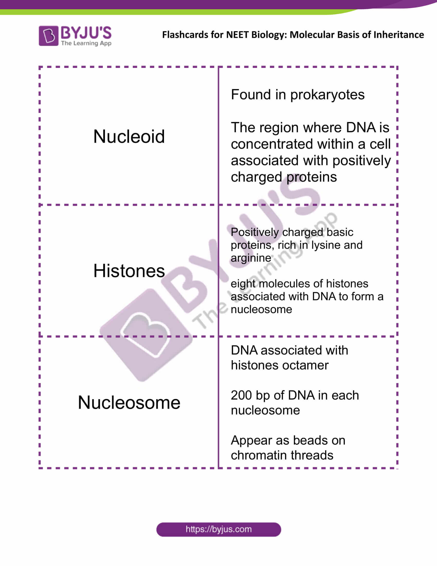 class 12 molecular basis of inheritance 05