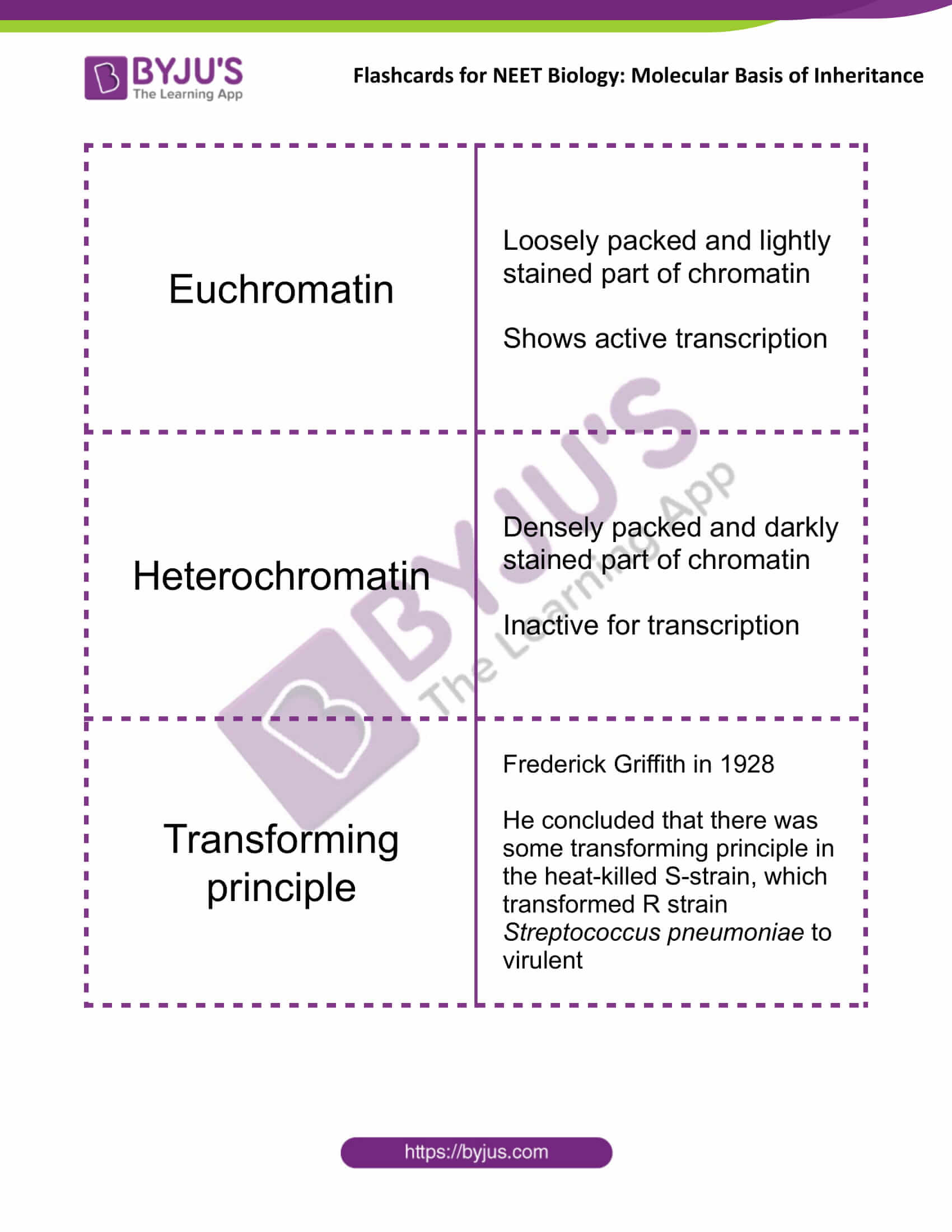 class 12 molecular basis of inheritance 06