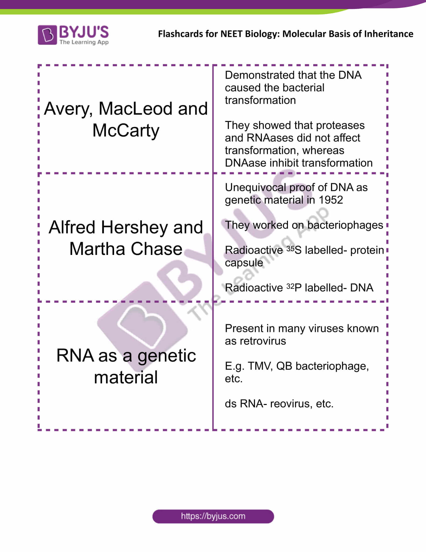 class 12 molecular basis of inheritance 07