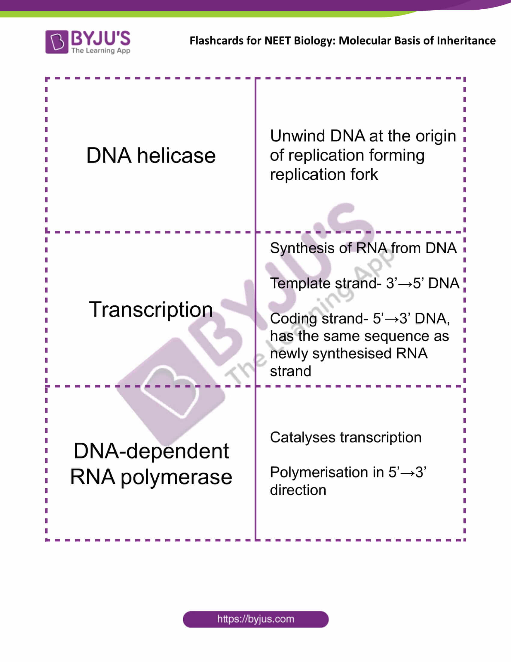 class 12 molecular basis of inheritance 09