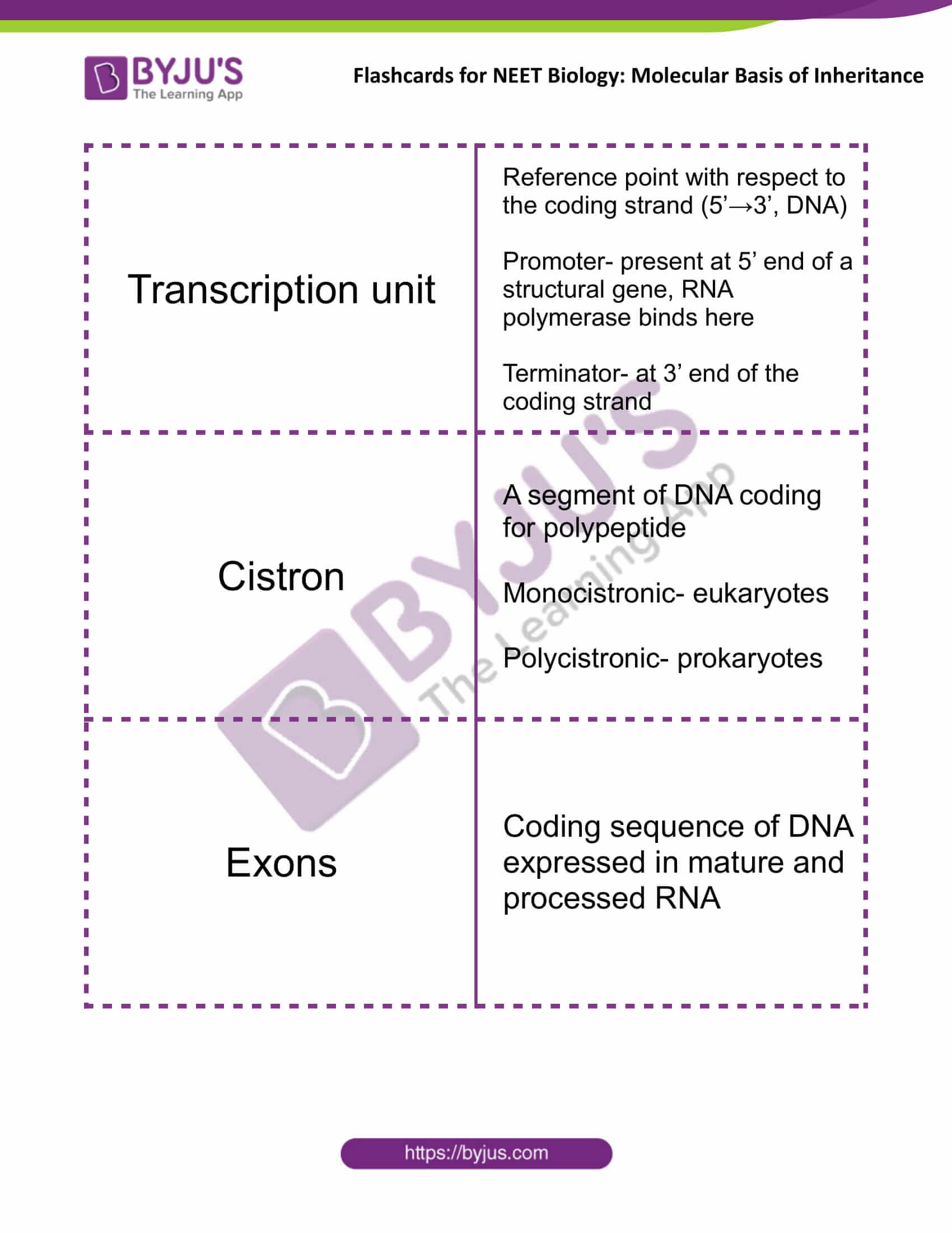 class 12 molecular basis of inheritance 10