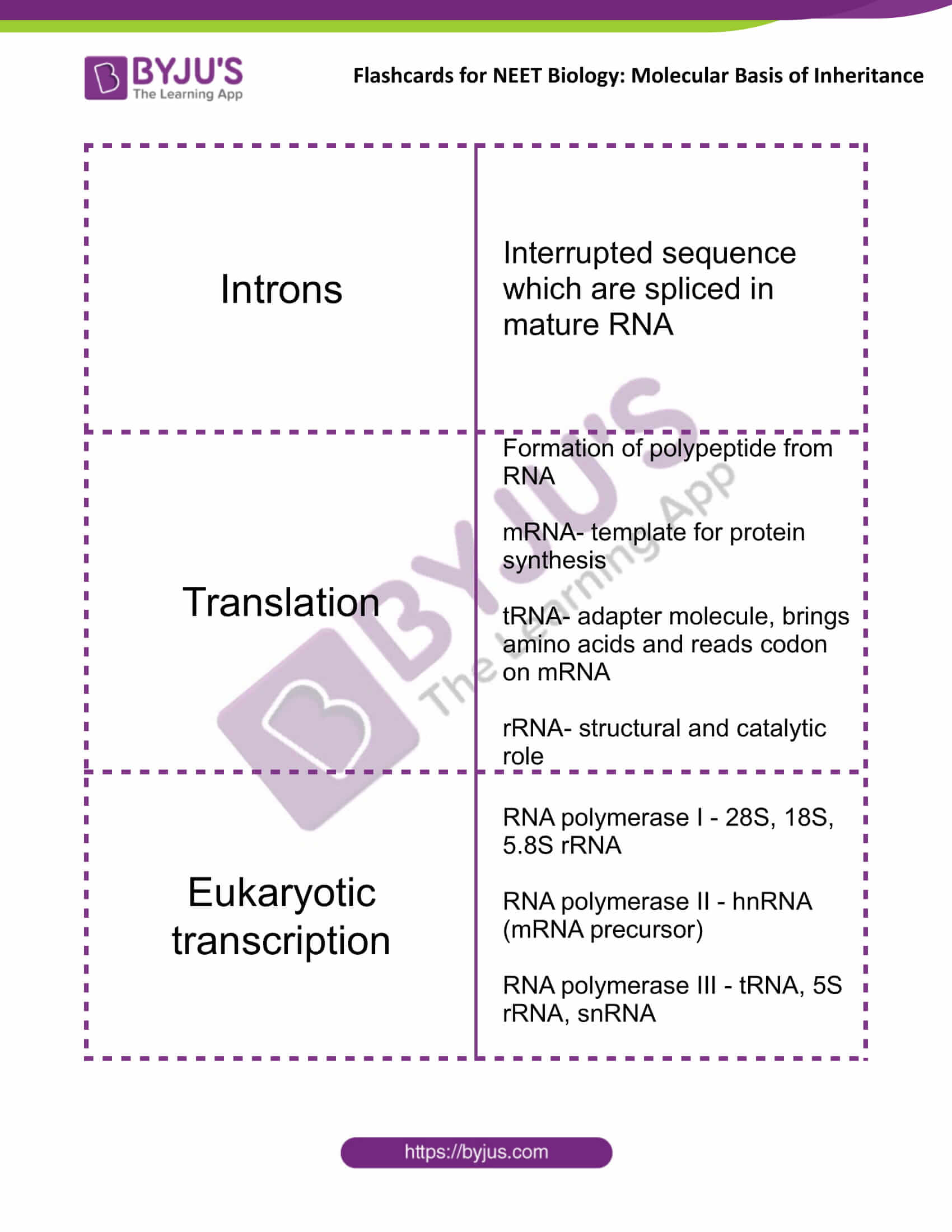 class 12 molecular basis of inheritance 11