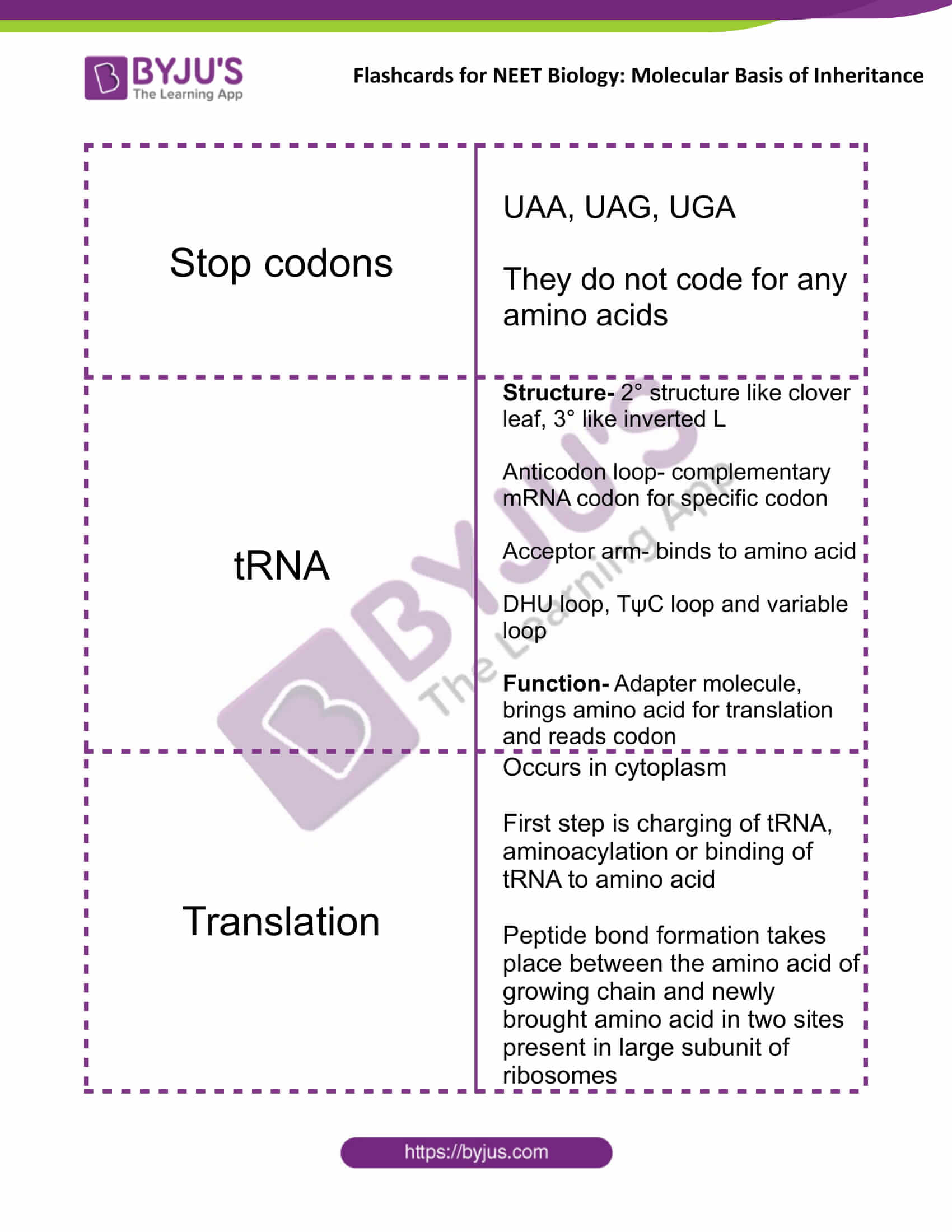 class 12 molecular basis of inheritance 13