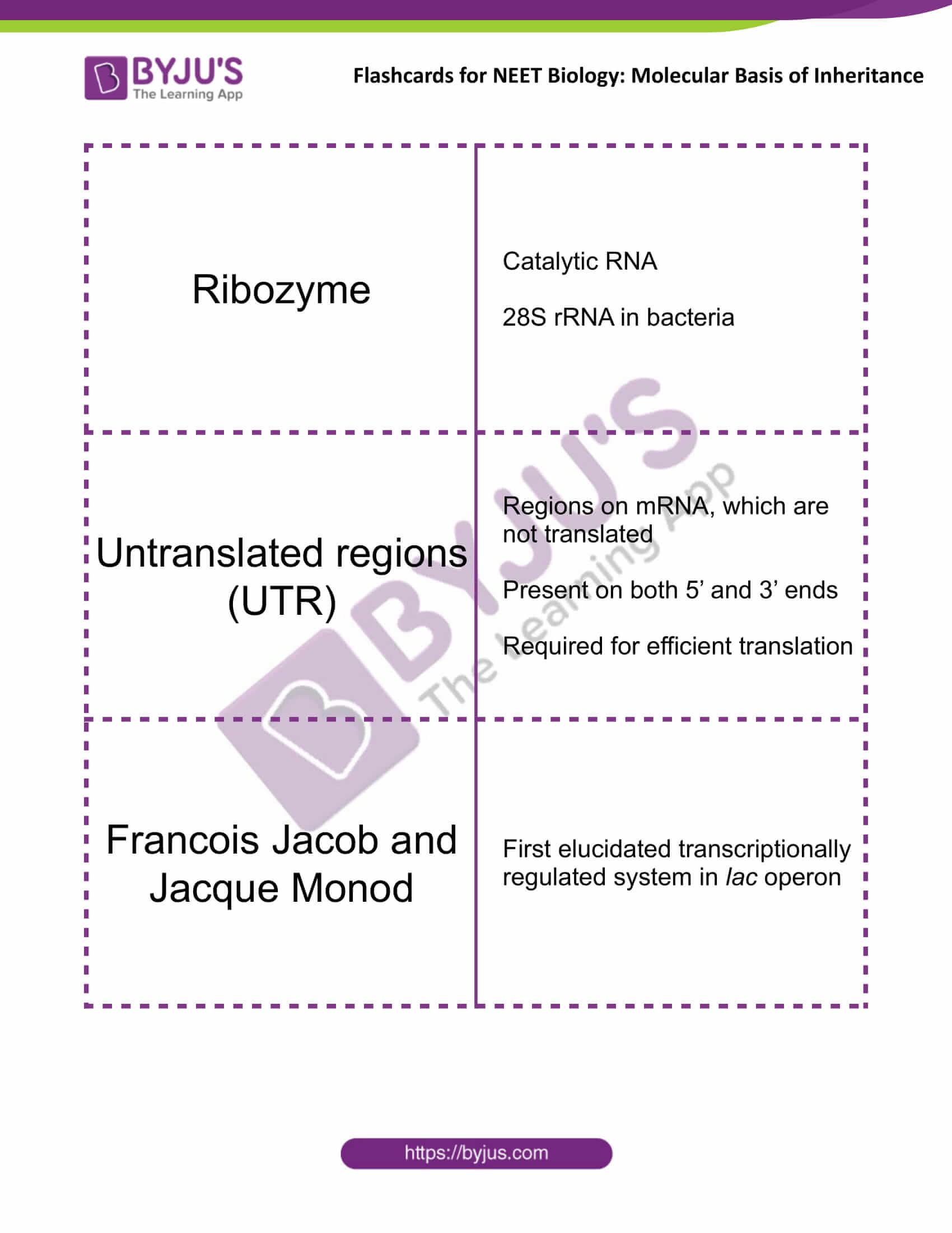 class 12 molecular basis of inheritance 14