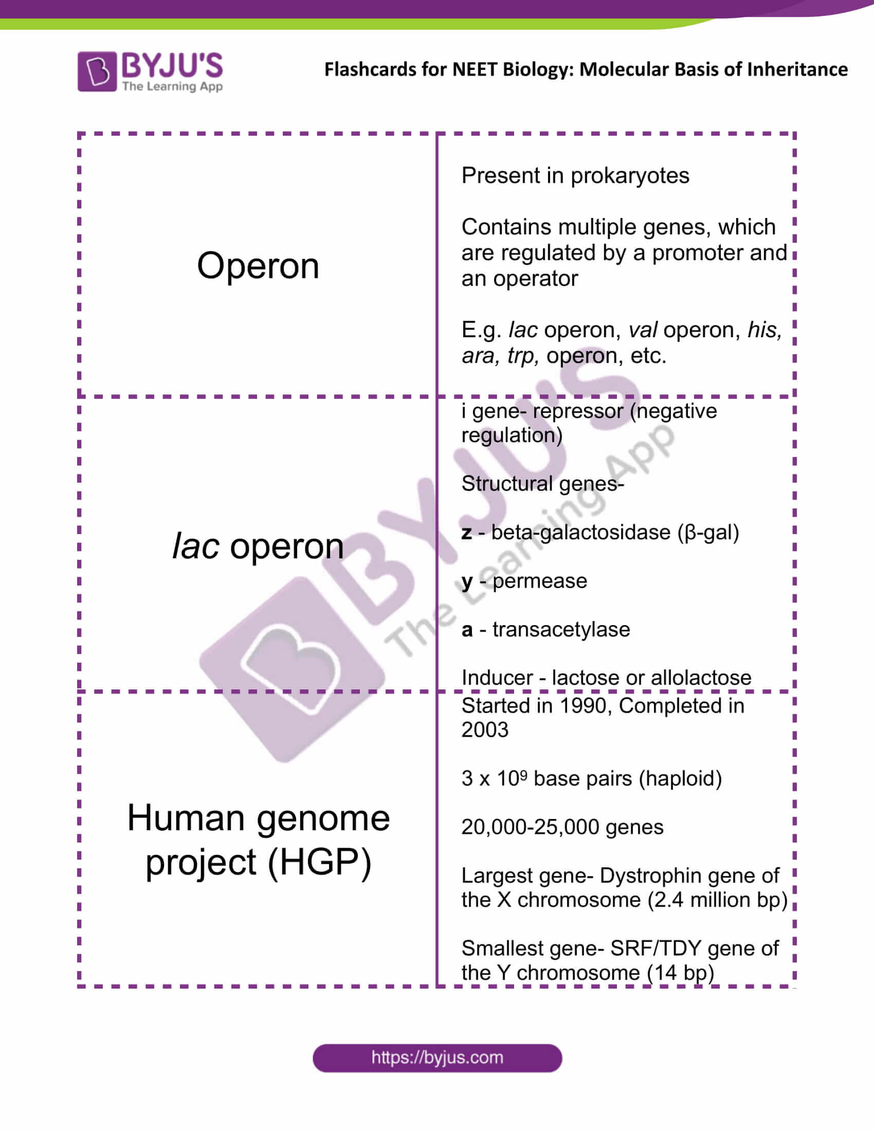 class 12 molecular basis of inheritance 15