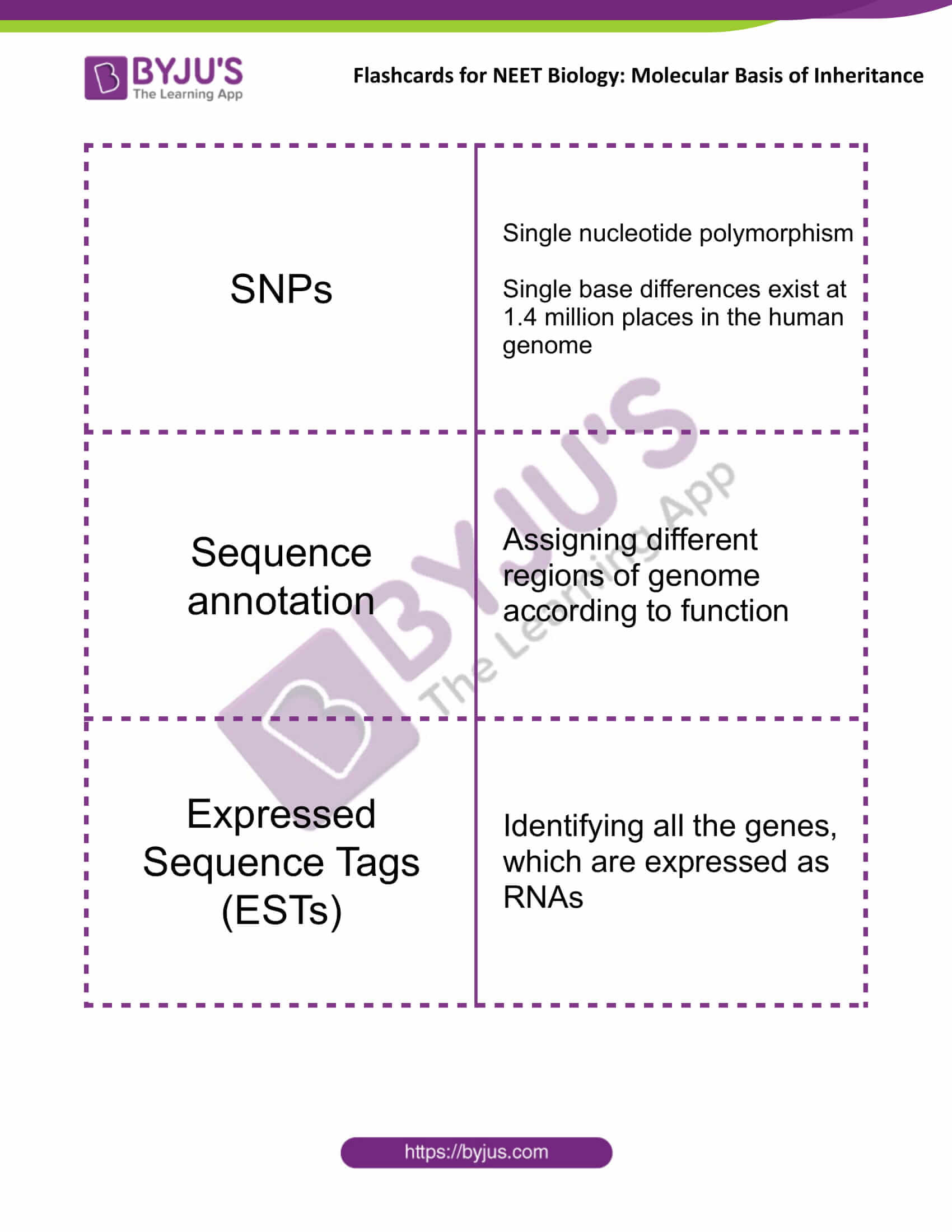 class 12 molecular basis of inheritance 16