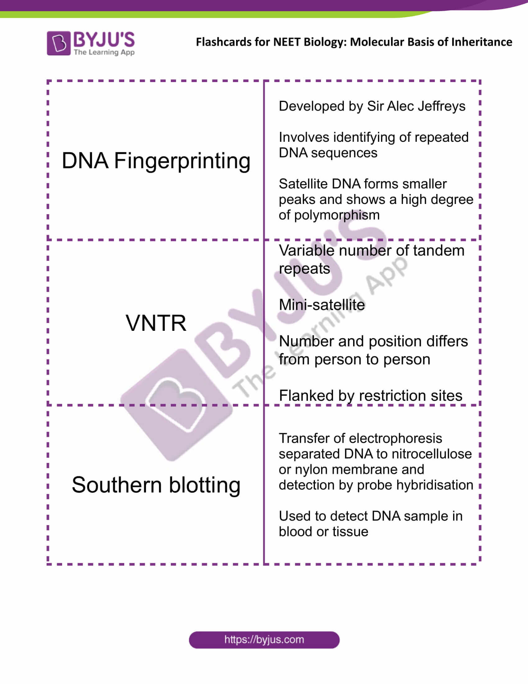 class 12 molecular basis of inheritance 17