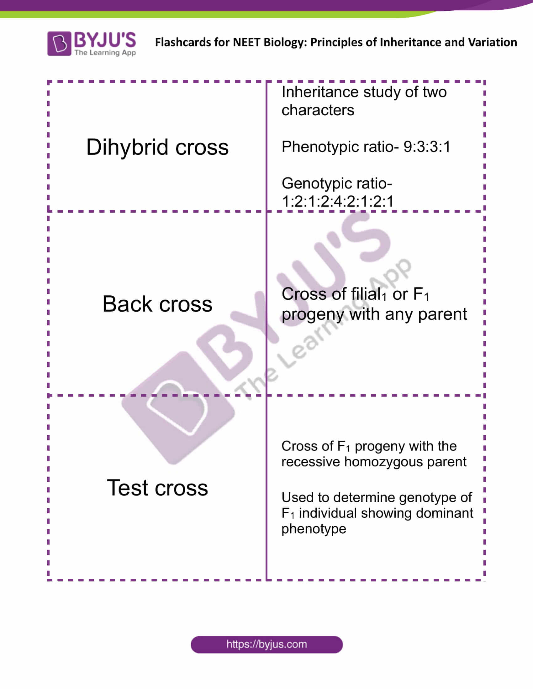 Principles Of Inheritance And Variation Flashcards For Neet Biology