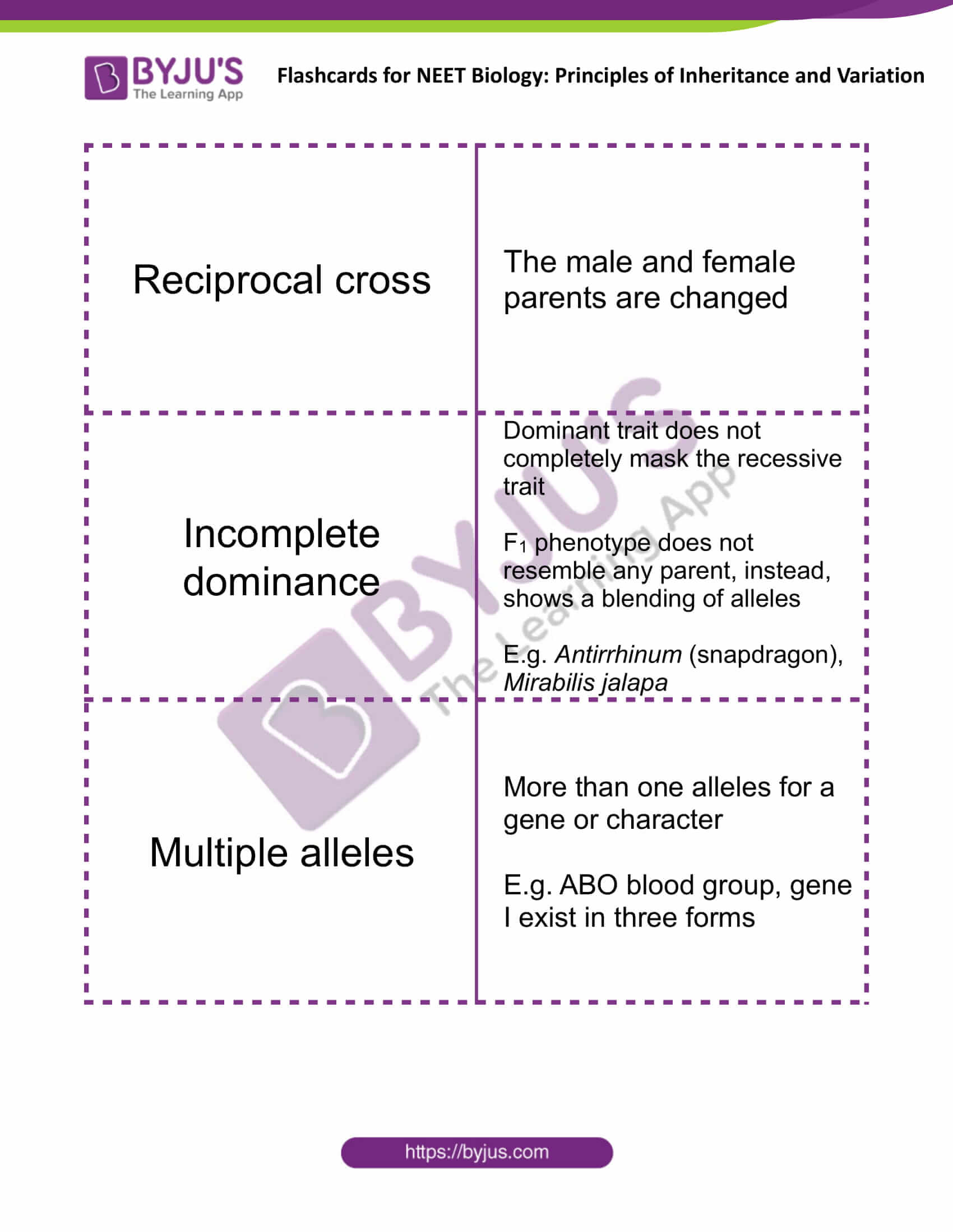 class 12 principles of inheritance and variation 04