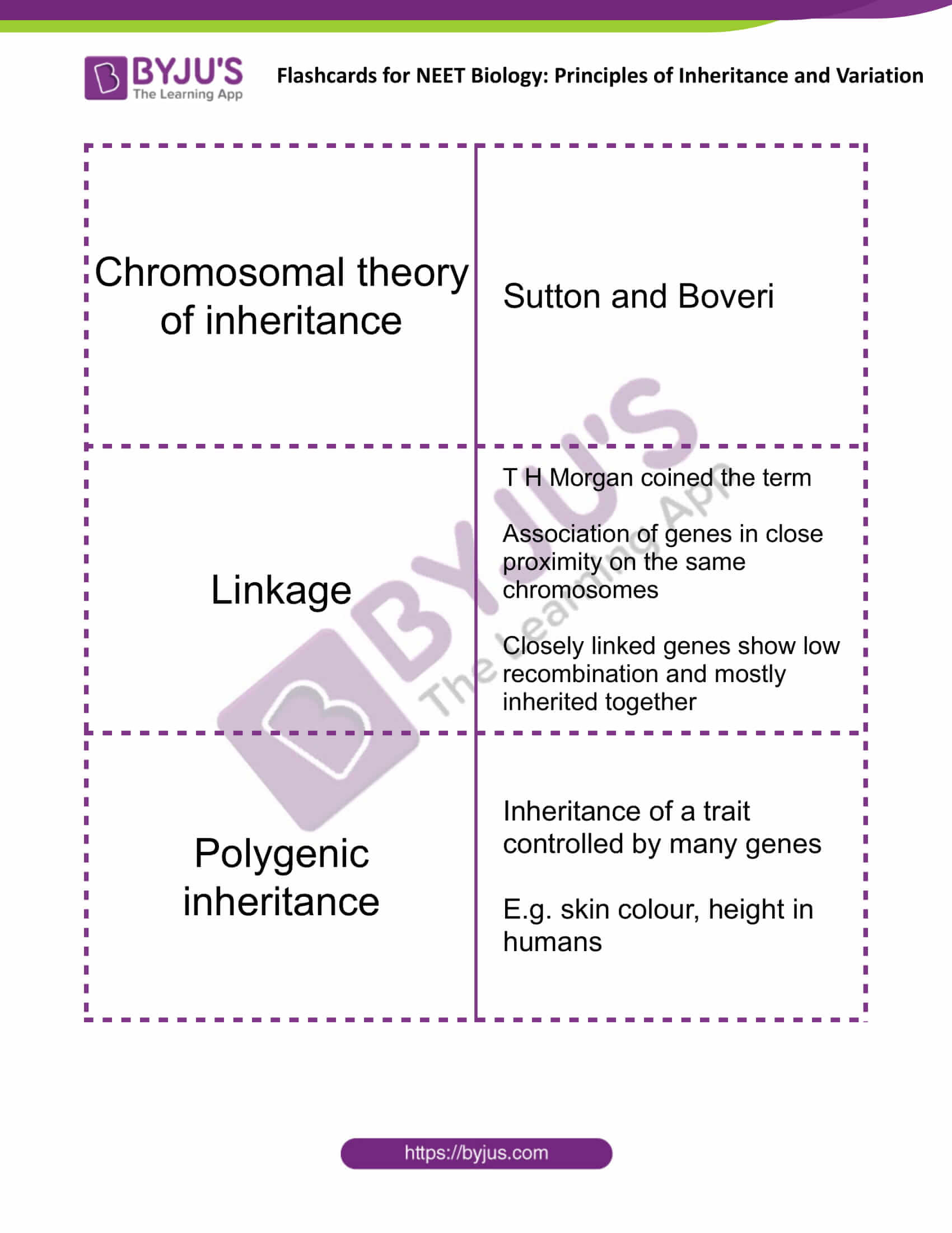 class 12 principles of inheritance and variation 05