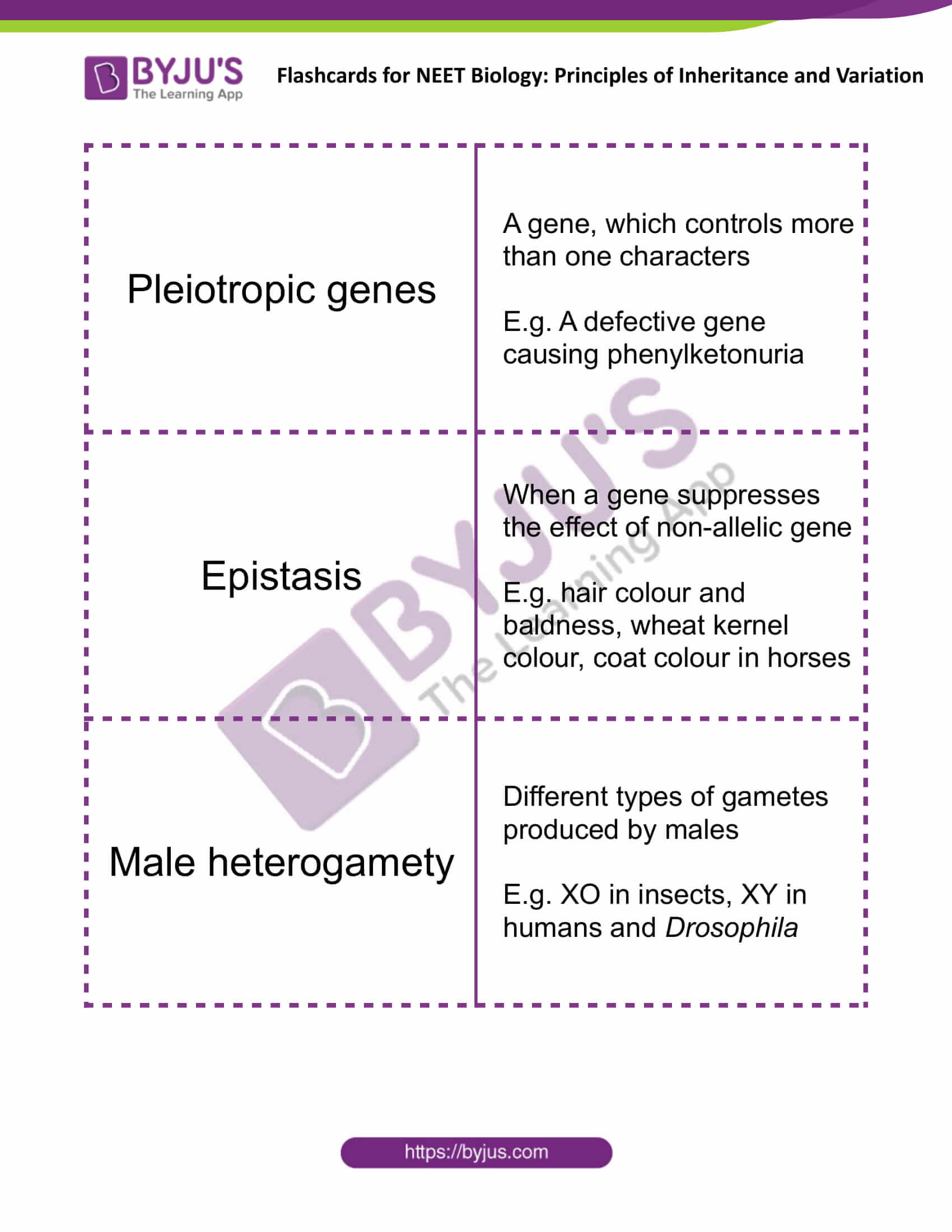 Principles Of Inheritance And Variation Flashcards For Neet Biology