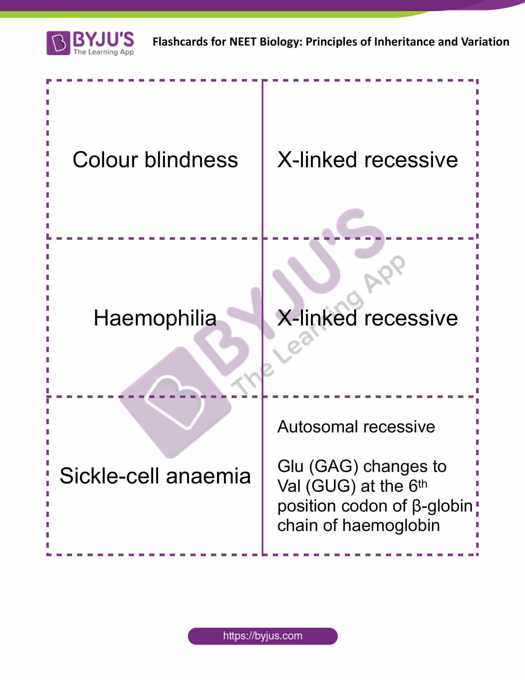 Principles Of Inheritance And Variation Flashcards For Neet Biology