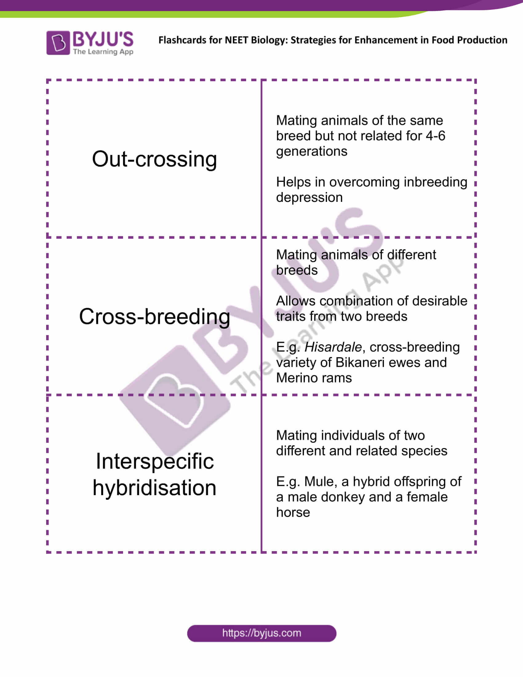 class 12 strategies for enhancement in food production 2