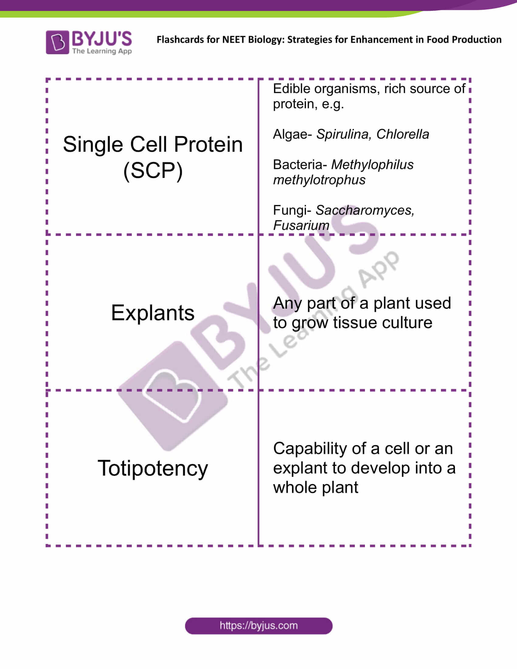 class 12 strategies for enhancement in food production 6