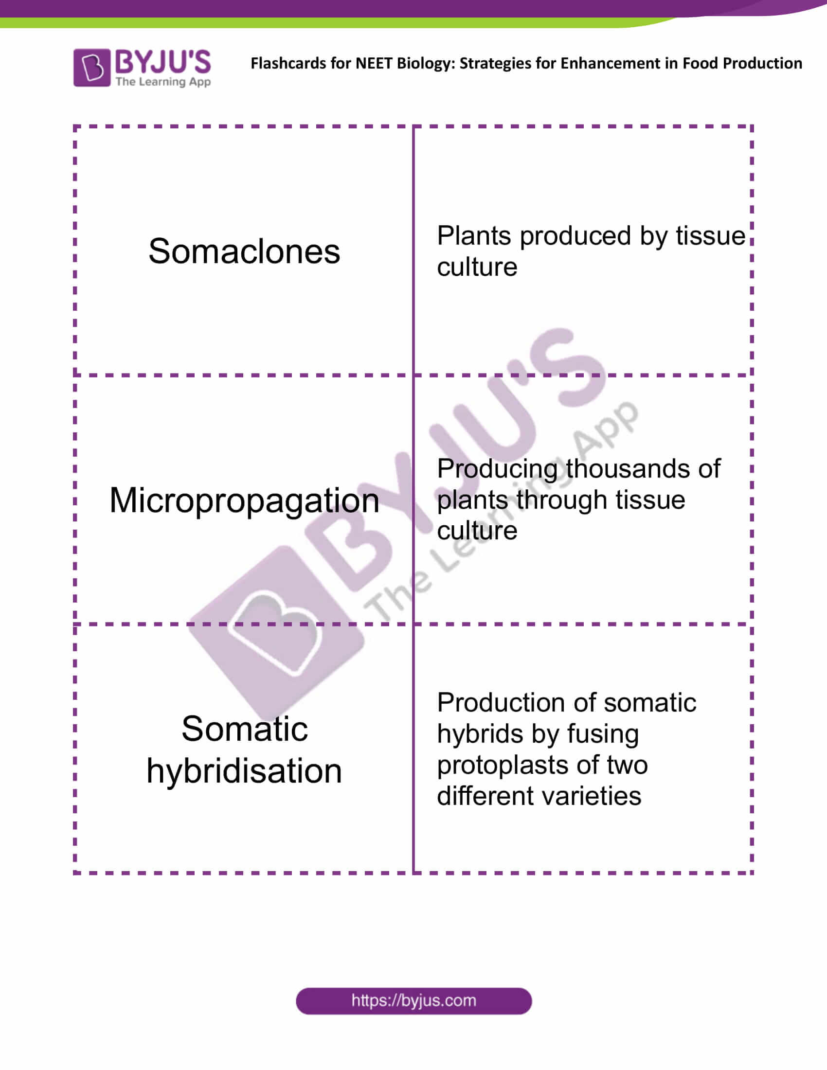 class 12 strategies for enhancement in food production 7