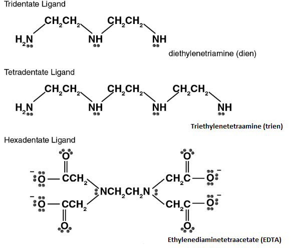 Which is the Example of Hexadentate Ligand?