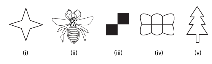 RD Sharma Solutions for Class 6 Chapter 17 Ex 17.2 Image 1