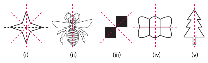 RD Sharma Solutions for Class 6 Chapter 17 Ex 17.2 Image 2