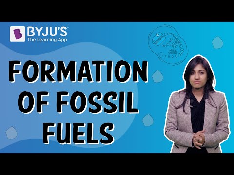 fossil fuels formation