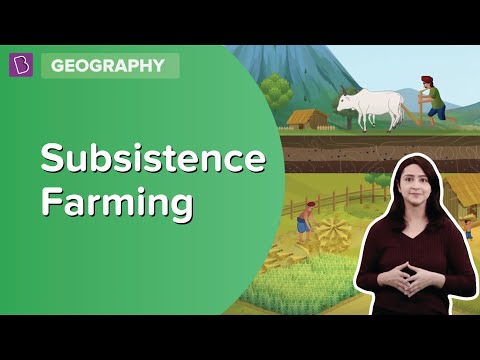 subsistence farming definition