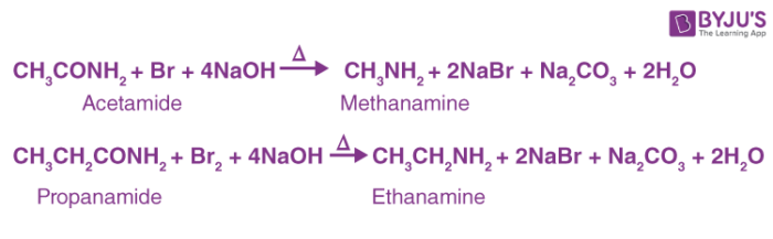 Hoffmann Bromamide Reaction Mechanism Explanation of Hoffmann