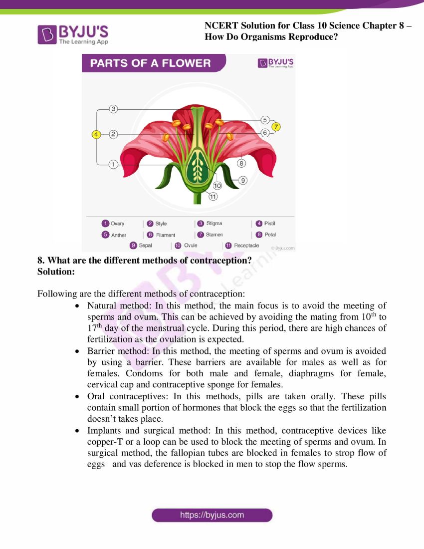 Class 12 Bio Chapter 6