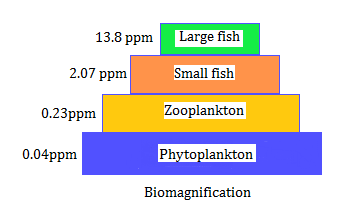 NCERT solutions class 12 biology chapter 16 - 1