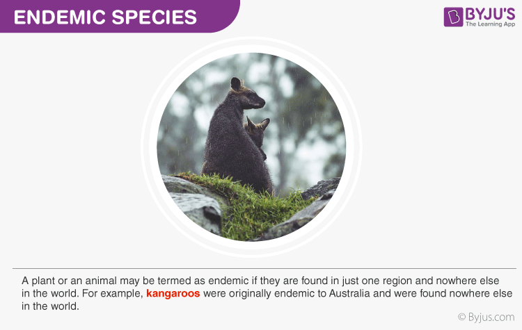 threatened species definition