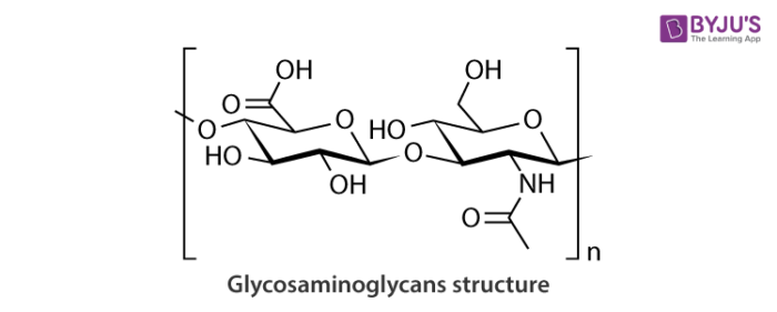 Glycosaminoglycans Structure