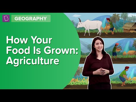 Agriculture - An Overview of an Agricultural Process