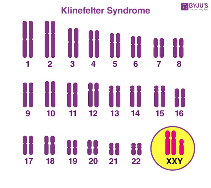 What Is the Difference Between Euploidy and Aneuploidy? BYJU'S NEET