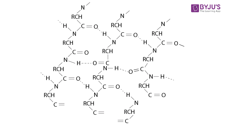 NCERT Solutions for Class 12 Chemistry Chapter 14 Biomolecules Q 13(b)