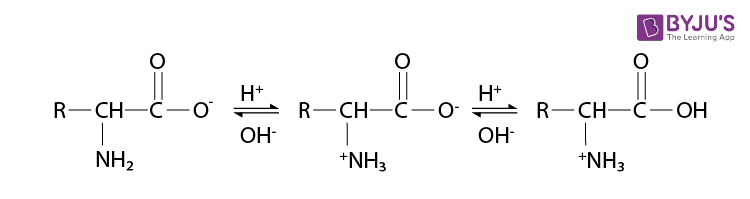 NCERT Solutions for Class 12 Chemistry Chapter 14 Biomolecules Q 16-1