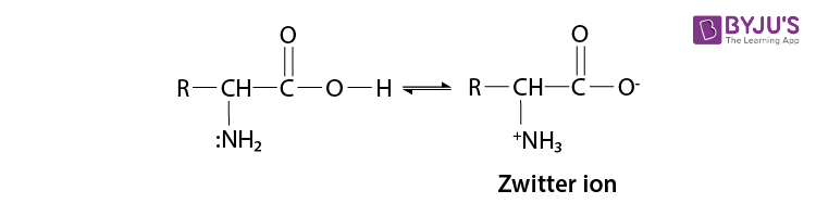 NCERT Solutions for Class 12 Chemistry Chapter 14 Biomolecules Q 16