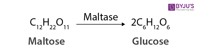 NCERT Solutions for Class 12 Chemistry Chapter 14 Biomolecules Q 17