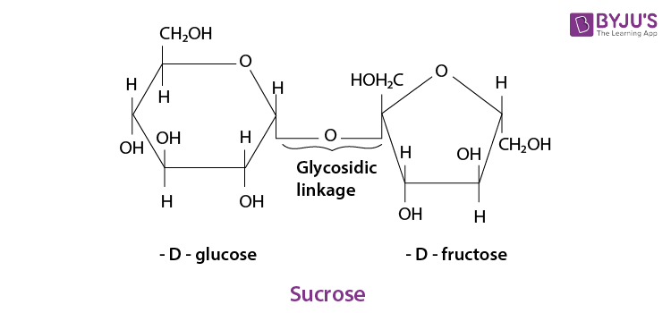 NCERT Solutions for Class 12 Chemistry Chapter 14 Biomolecules Q 5 Sucrose