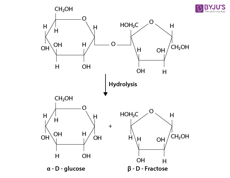 NCERT Solutions Class 12 Chemistry Chapter 14 Biomolecules