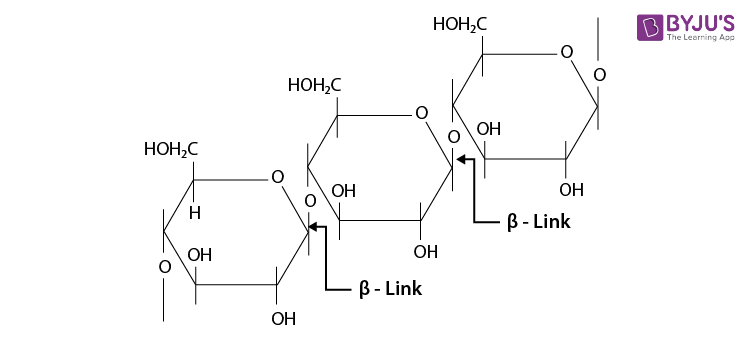 NCERT Solutions for Class 12 Chemistry Chapter 14 Biomolecules Q 8-2