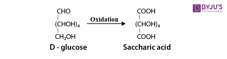 NCERT Solutions for Class 12 Chemistry Chapter 14 Biomolecules Q 9(iii)