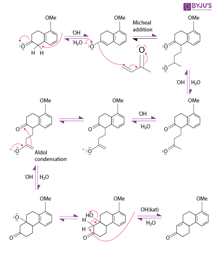 Robinson Annulation Definition, Reaction Mechanism & Applications