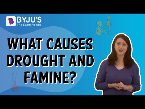 cause and effect essay about famine