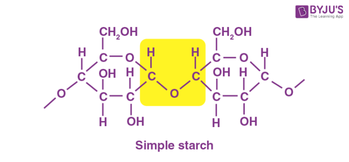 simple polysaccharide