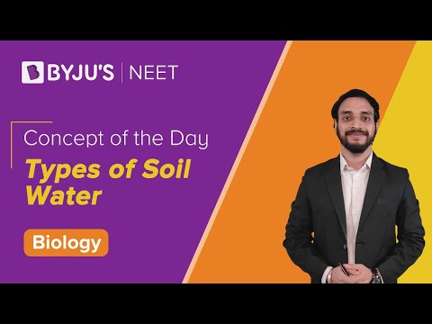 essay what is soil