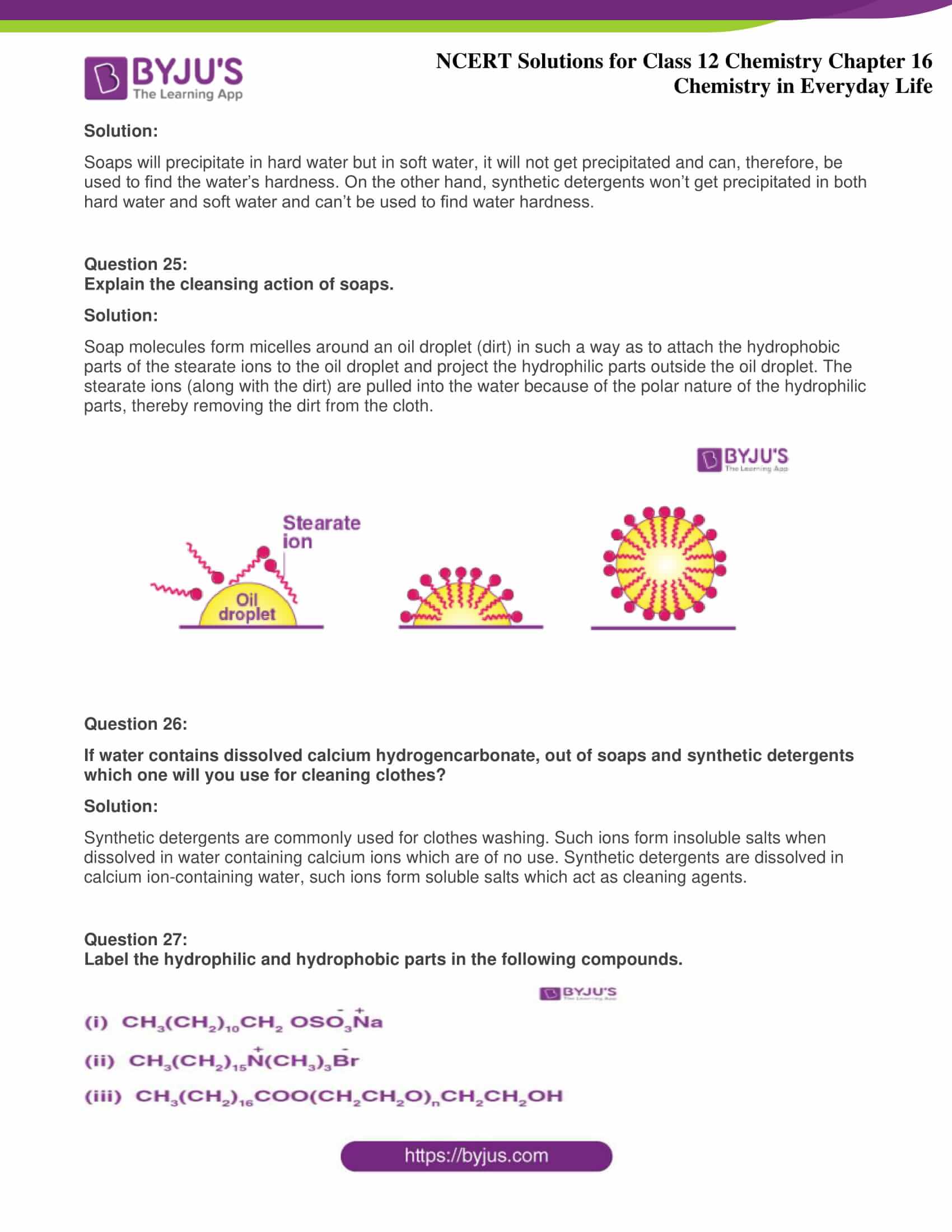 NCERT Solutions For Class 12 Chemistry Chapter 16 Chemistry In Everyday ...